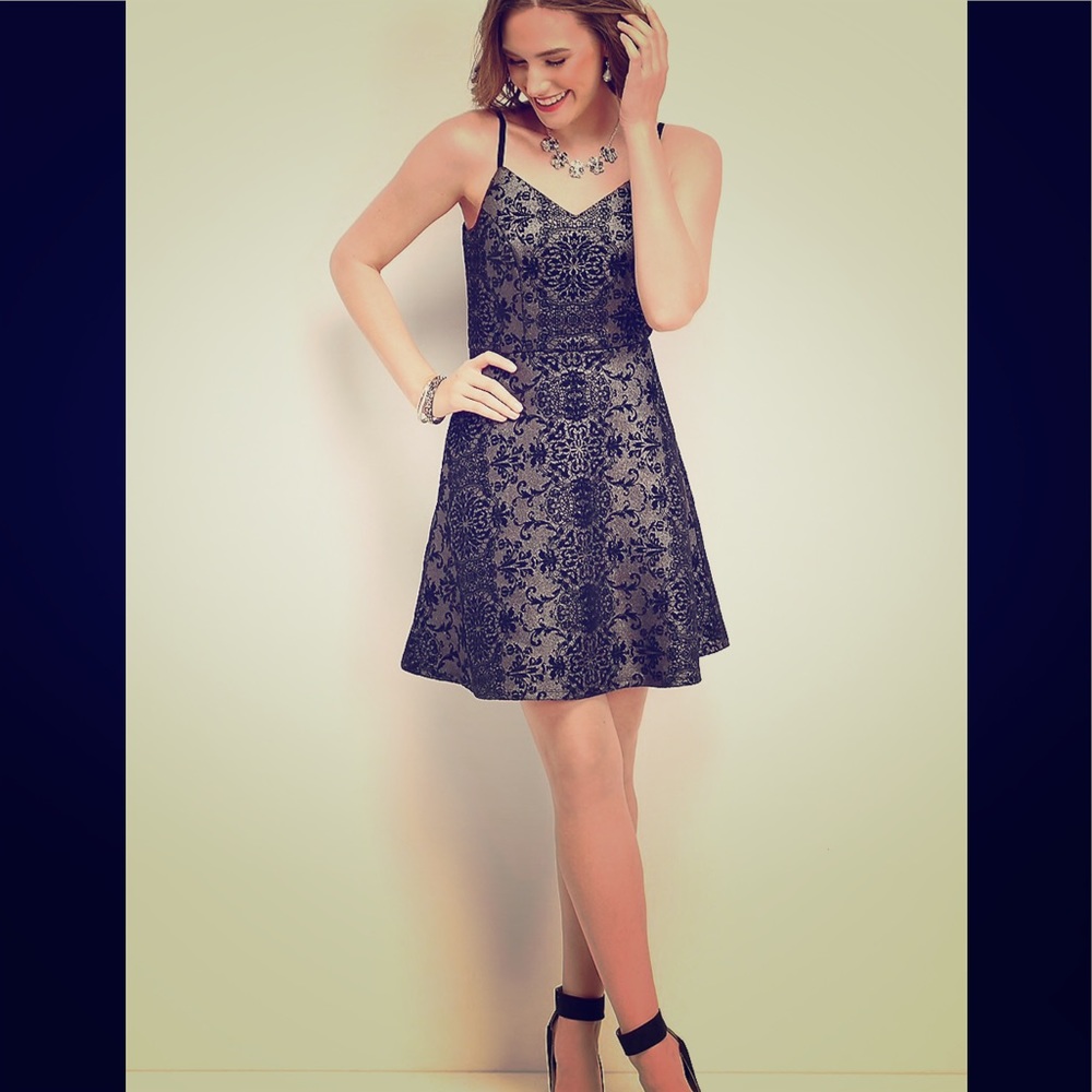 Floral Velvet Flocked Skate Dress
